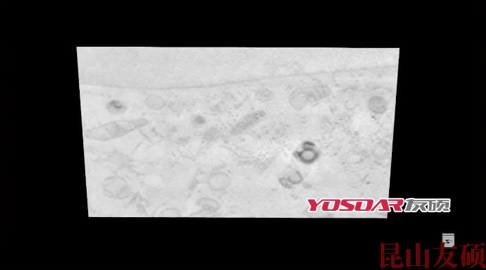 FIB资阳扫描电镜